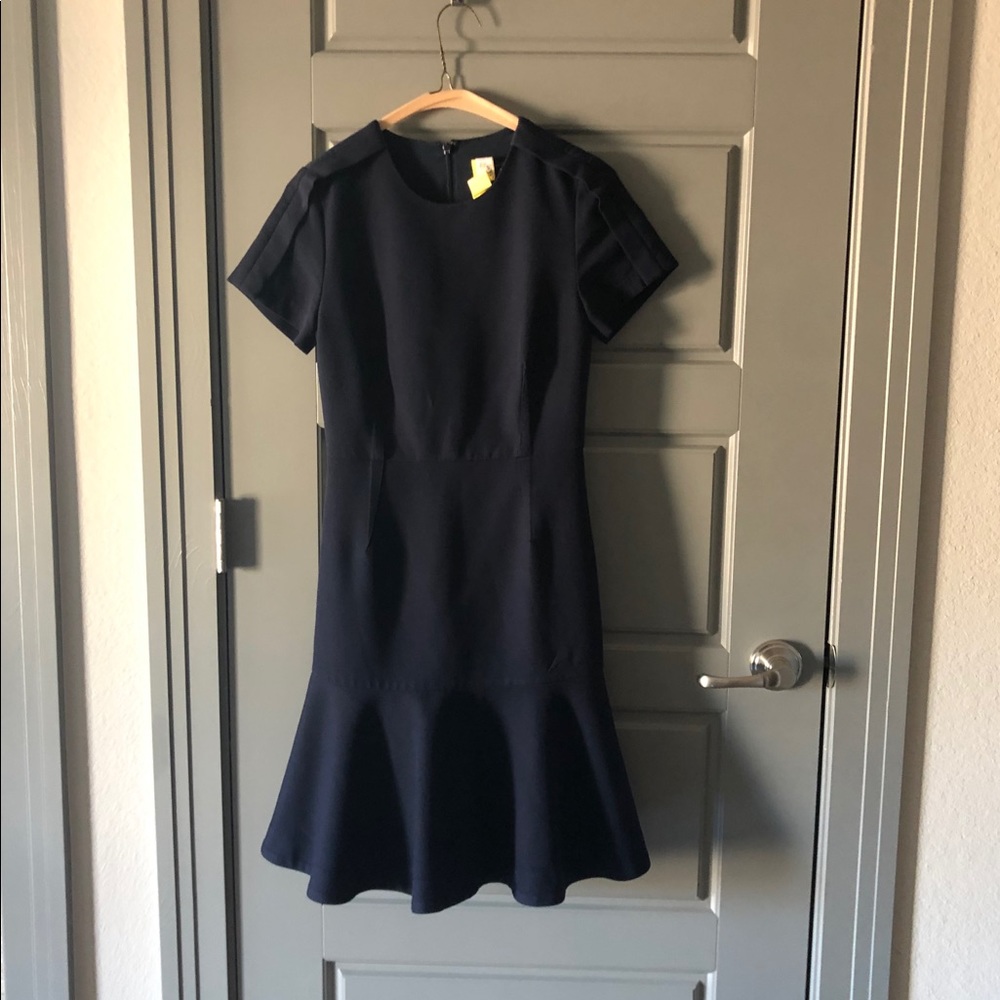 Navy Blue Fit and Flare Banana Republic Dress.